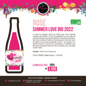 summer love bio 2022